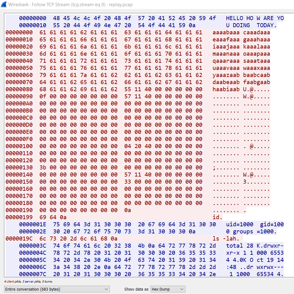 hxp  PlaidCTF 2020: Bonzi Scheme