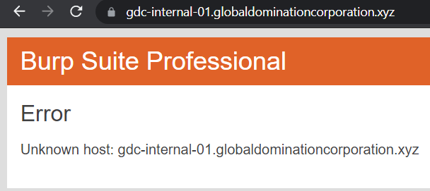 Unknown host error when visiting internal subdomain websites