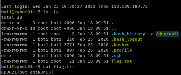 Retrieving flag.txt after SSH'ing in