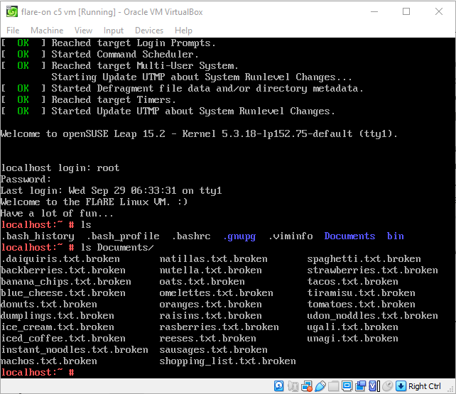 Restrictive CLI interface in VM