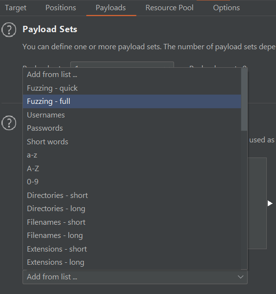 Burp Intruder full fuzzing payload set