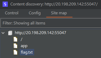 Burp Suite discover content scan finds '/app' and 'flag.txt'