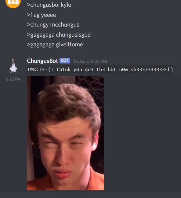 Direct-messaging ChungusBot on Discord with correct commands to get flag