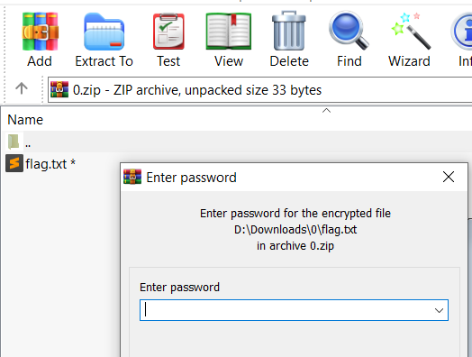 Zip file requires password