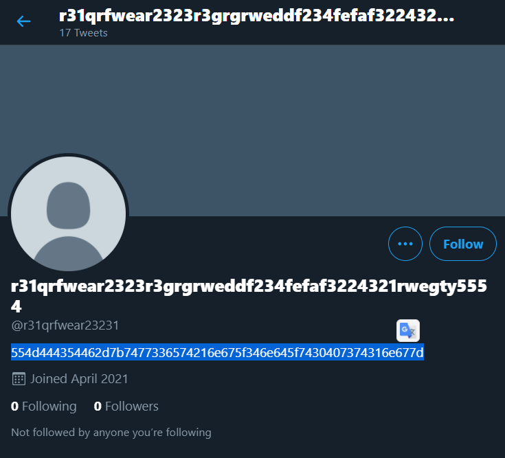 Suspicious hexadecimal data found in Twitter bio