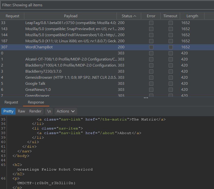 User-Agent value WordChampBot gives flag in HTTP response