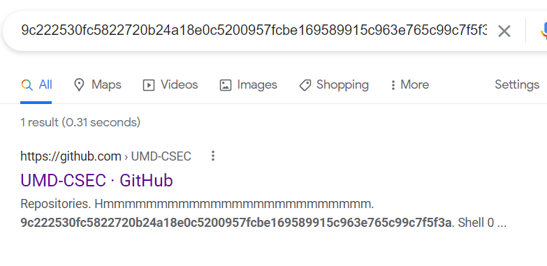 Searching challenge hash on Google returns 1 Github result