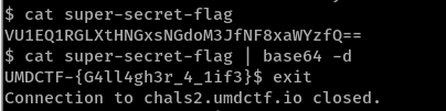 Base64-decoding flag