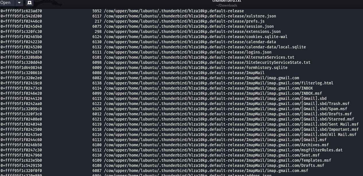 List of Thunderbird-related files retrieved from enumerate_files