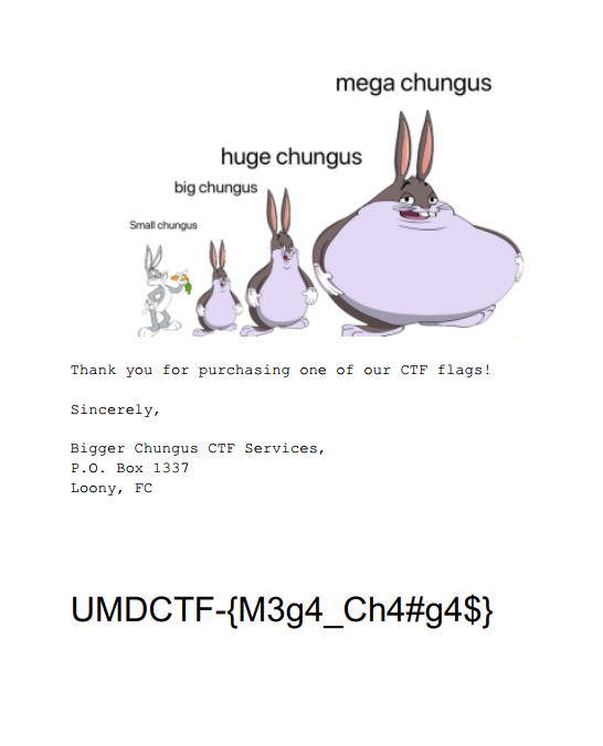 Flag displayed in Invoice PDF
