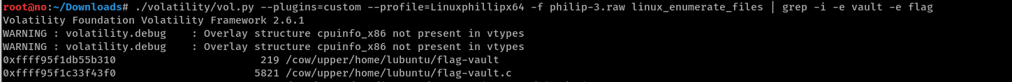 Search for flag-vault and flag-vault.c with enumerate_files