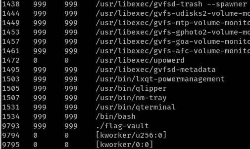 Linux process list shows flag-vault program