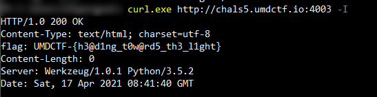 Flag in HTTP Header response when HEAD request is sent with curl.exe in Powershell